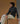 Cashmere turtleneck sweater